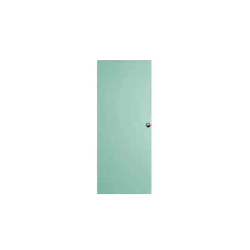 EXTERIOR DOORS (2)